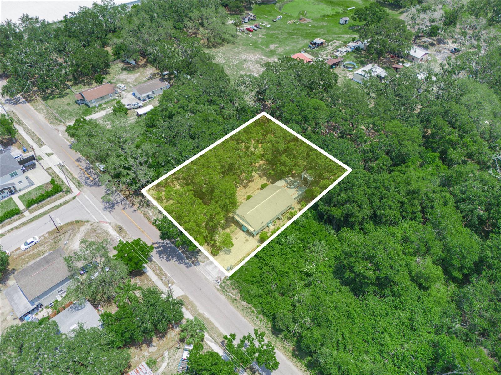 1/2 acre of shady trees, tropical fruit trees and running around room!