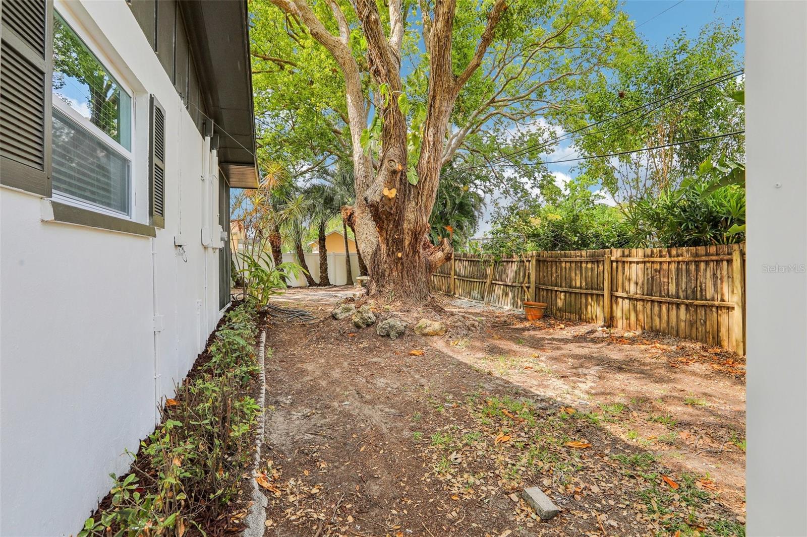 Backyard