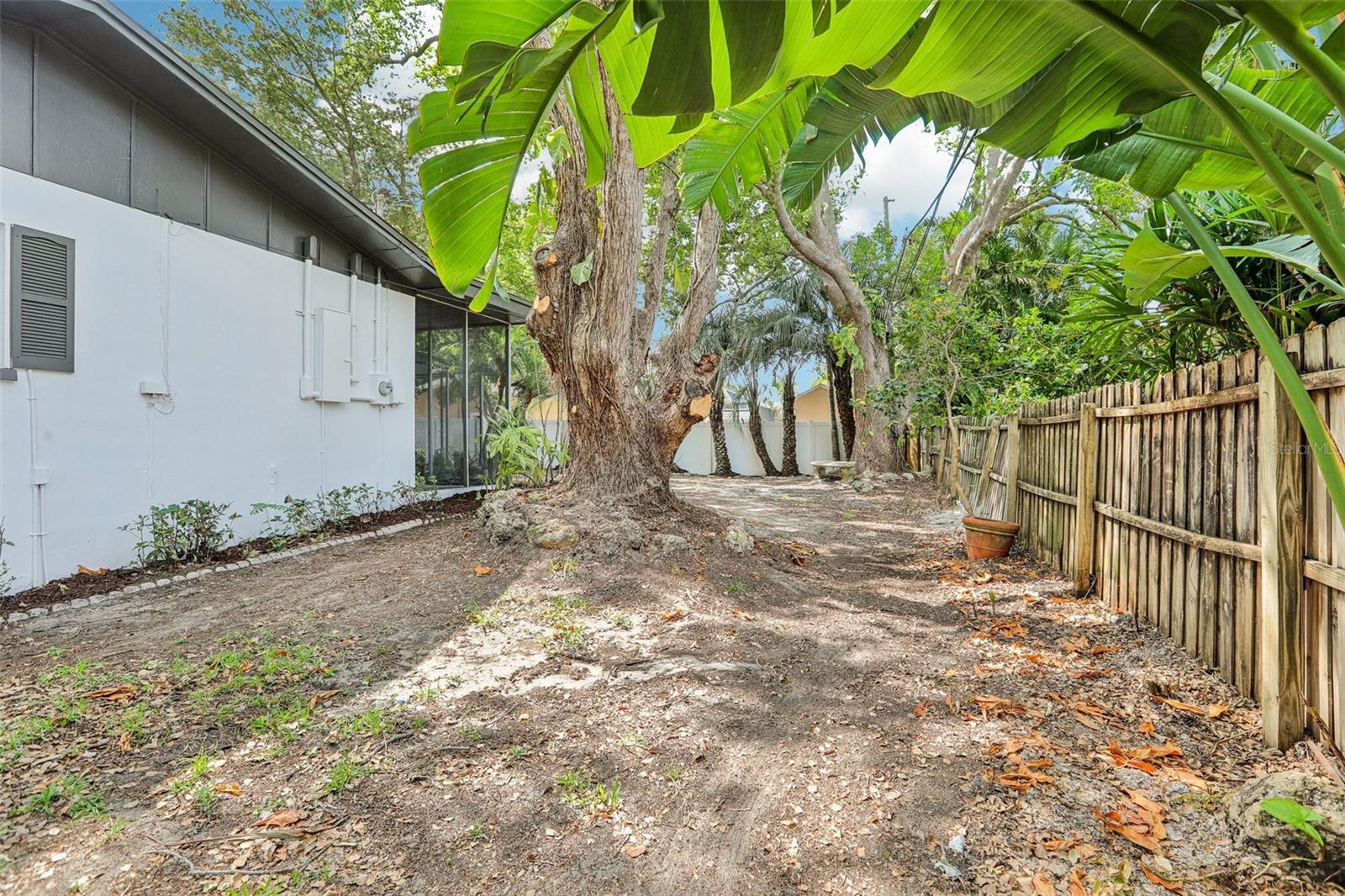 Backyard