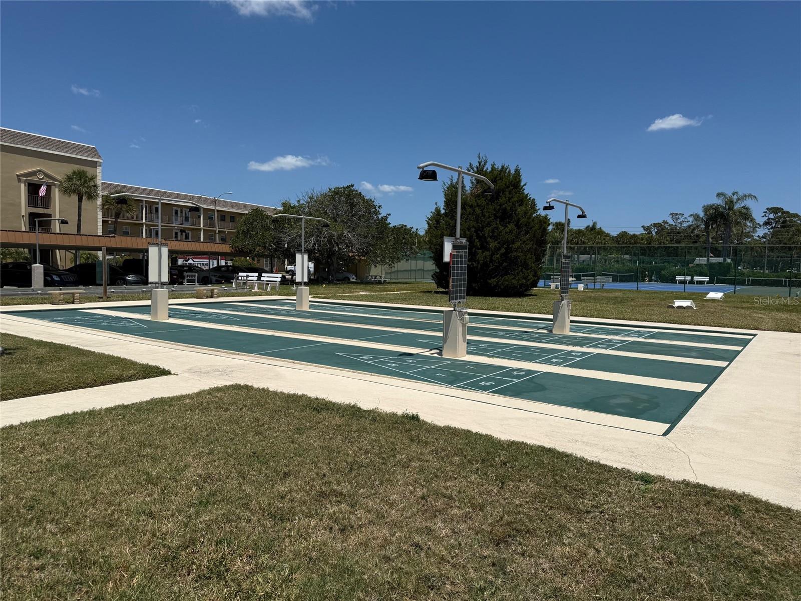 Shuffle Board and Pickle Ball