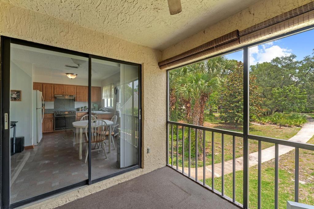 Screen Lanai