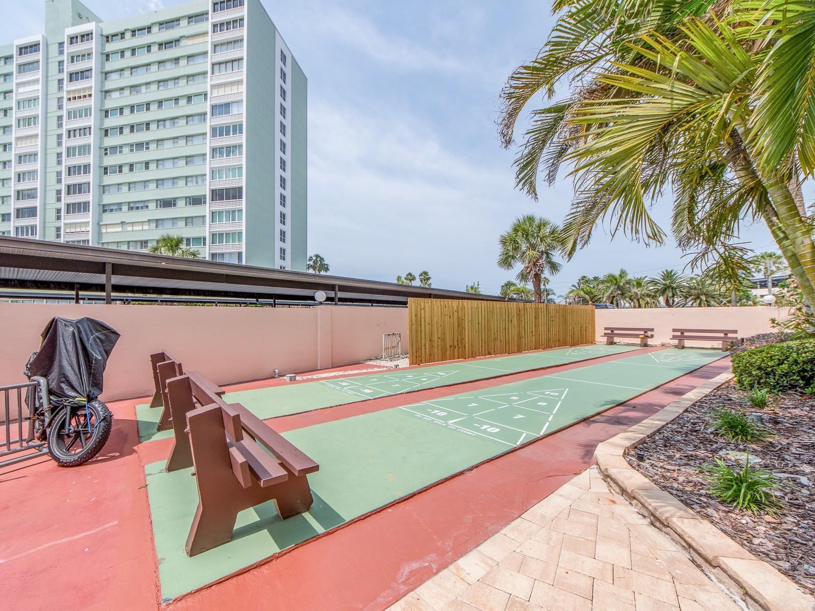 Shuffleboard by the Water