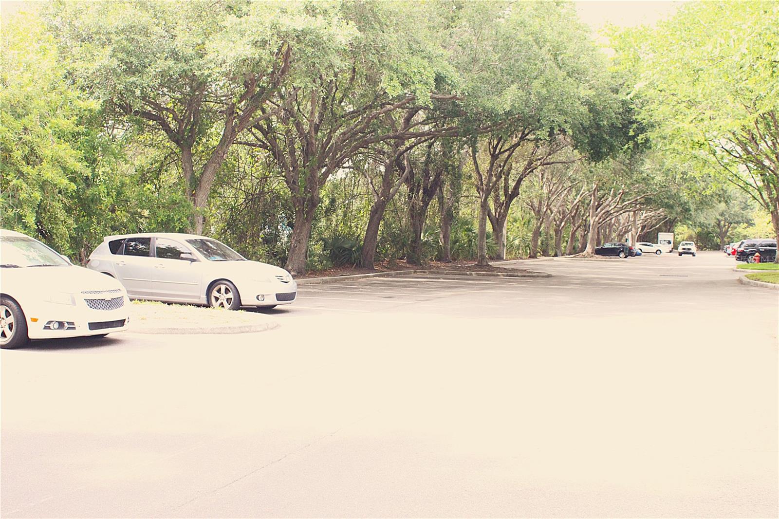 Well Manicured Community