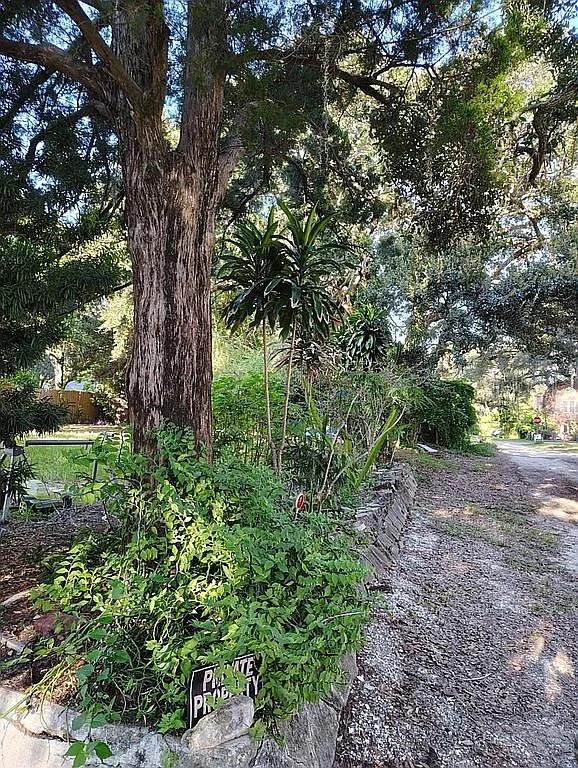 2rd Lot raised elevation  no flood insurance req*