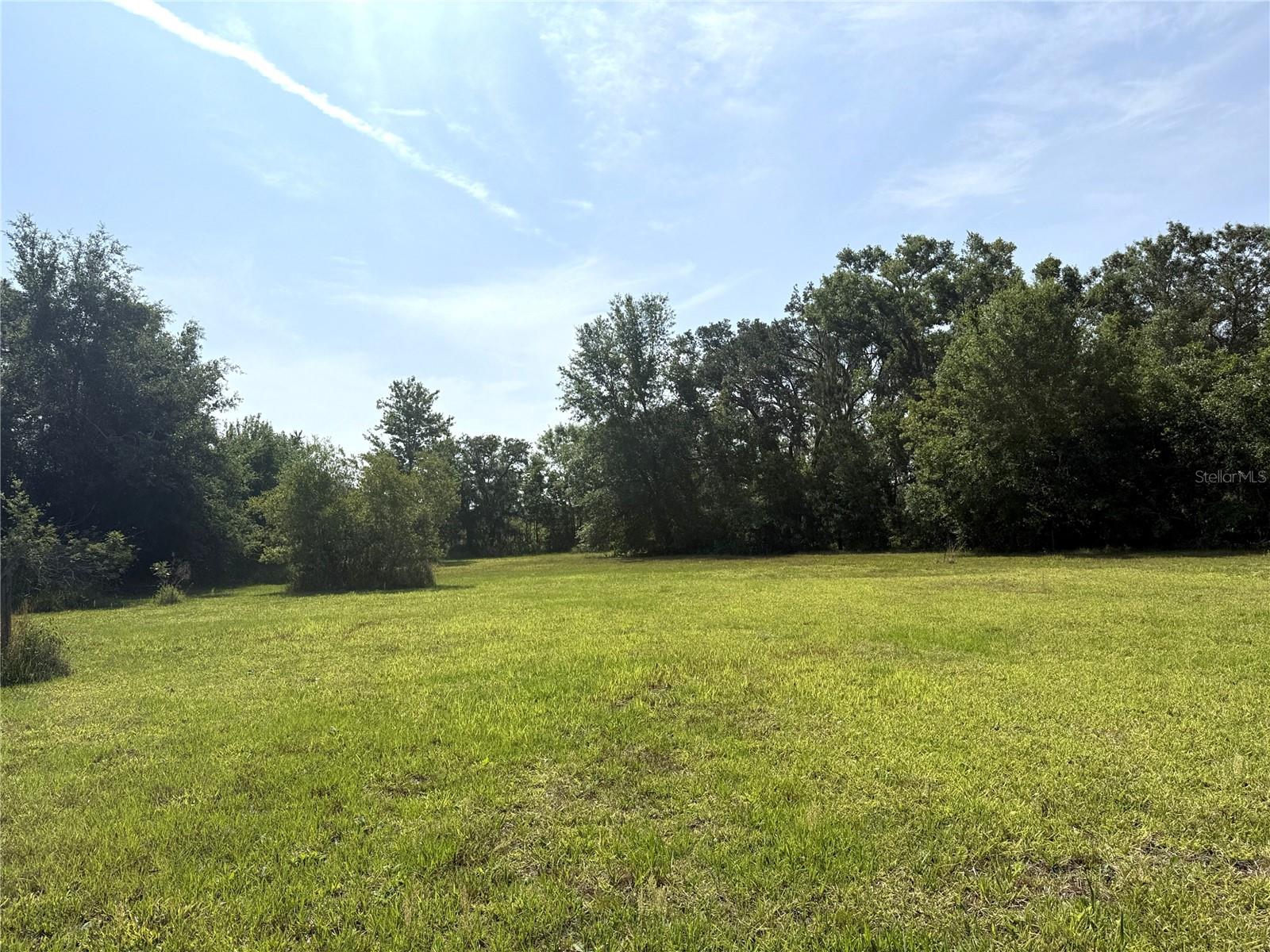 rear yard