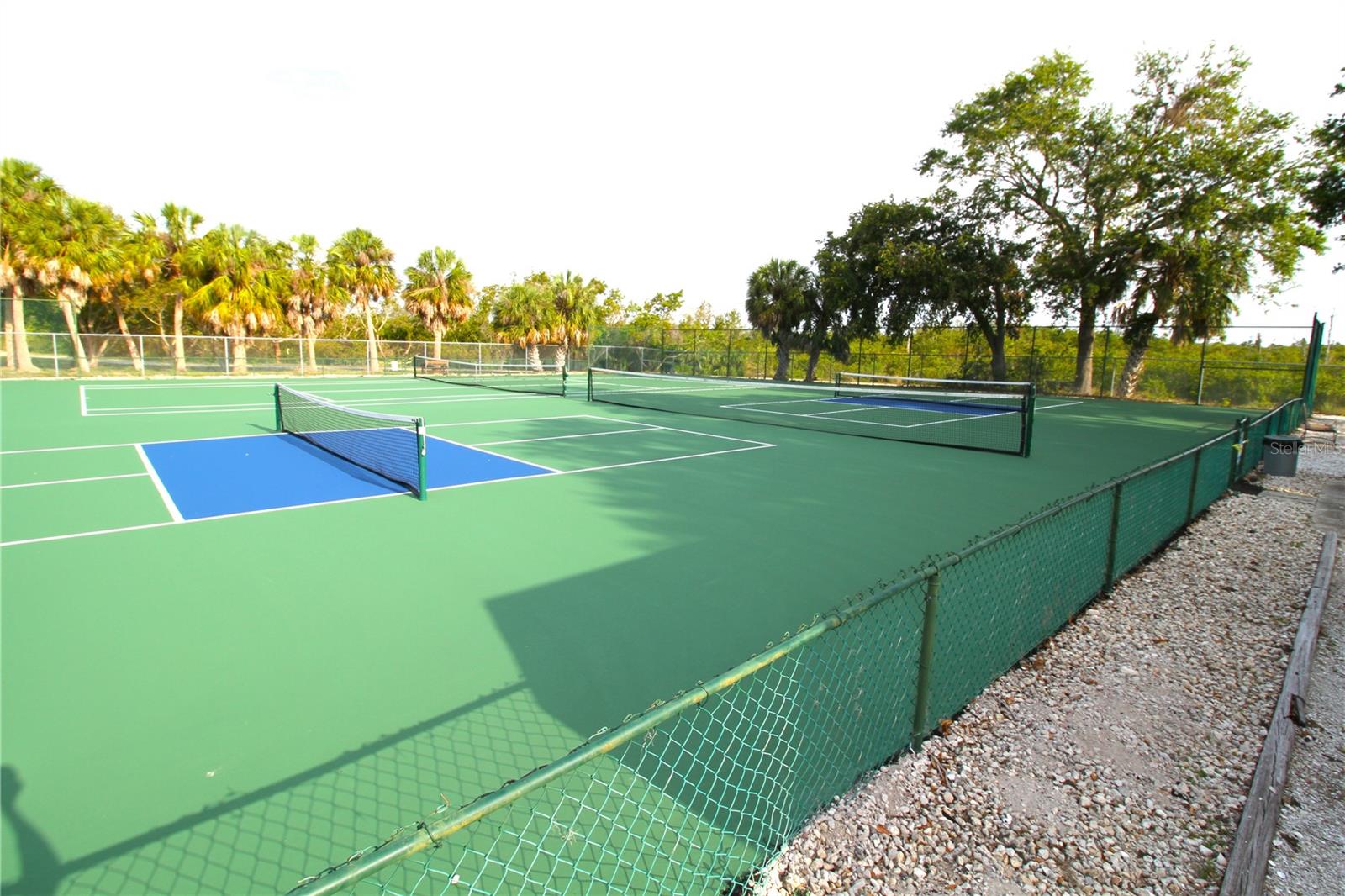 Tennis and Pickleball
