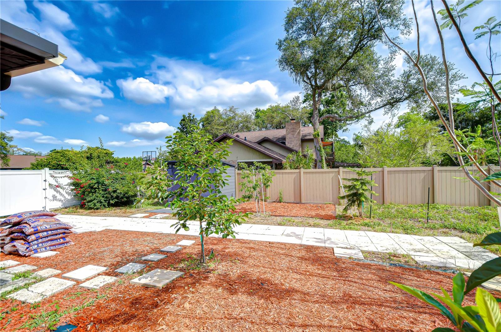 Spacious fenced yard!