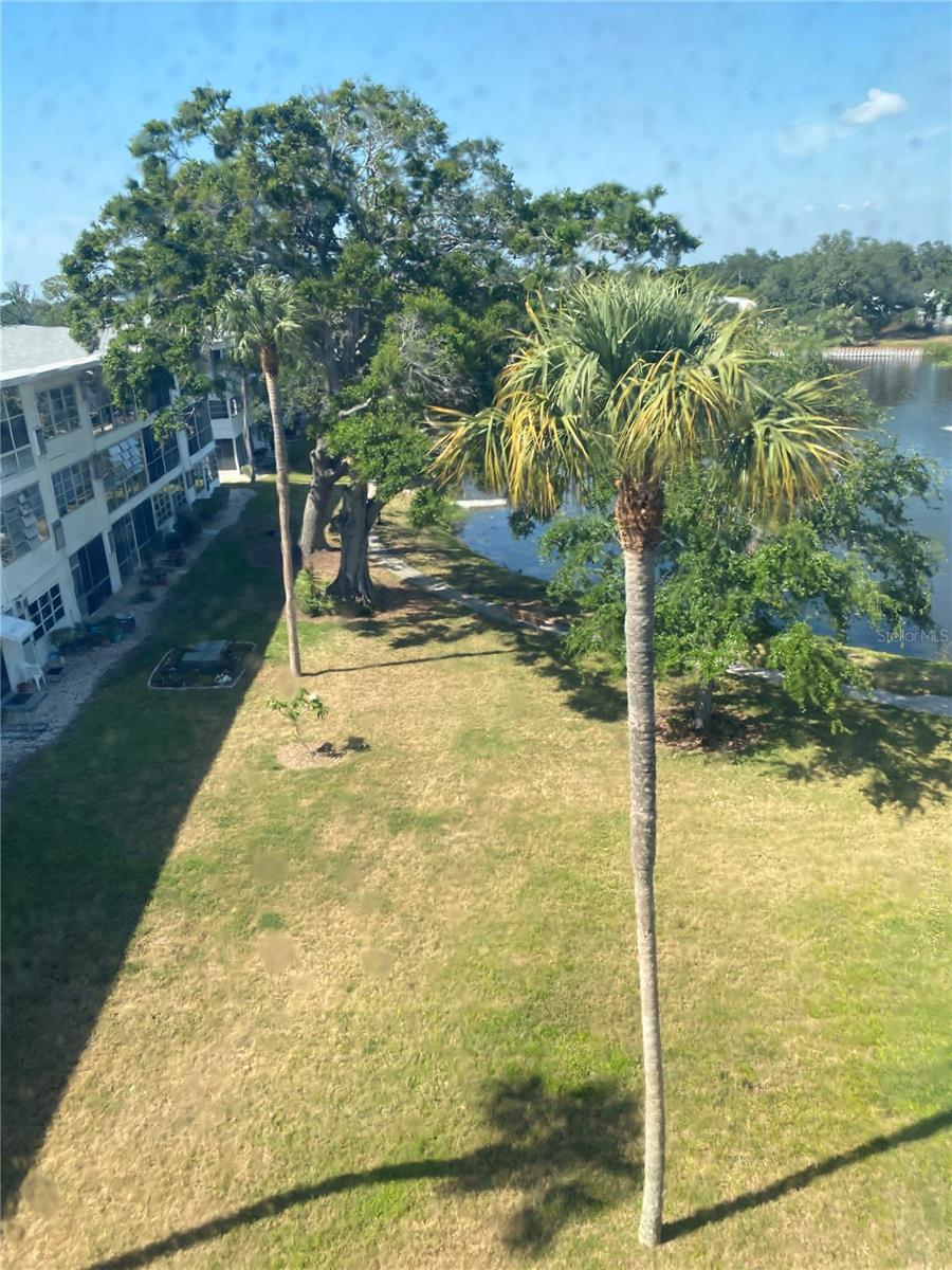 View from Porch