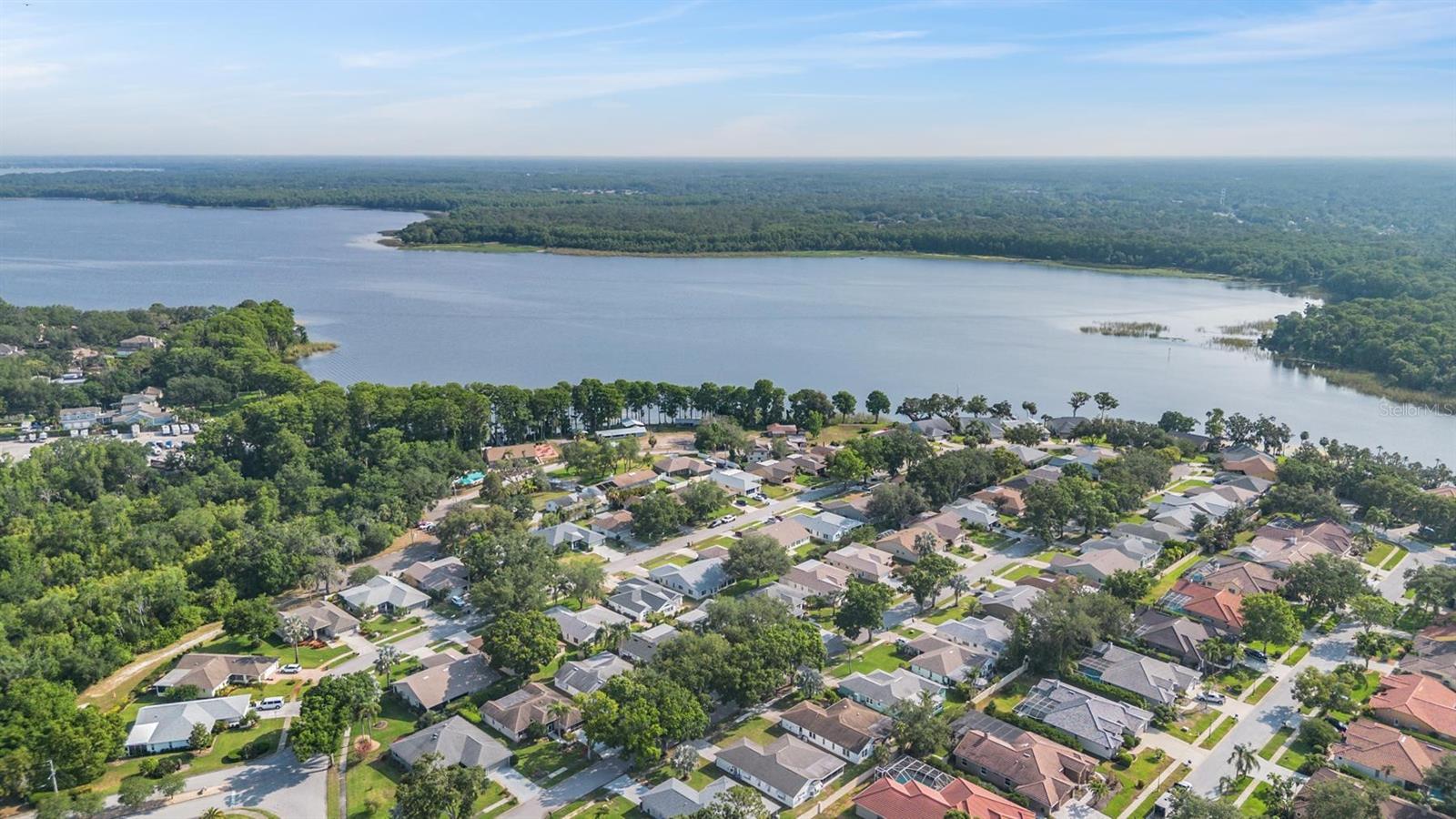Aerial view of the subdivision.