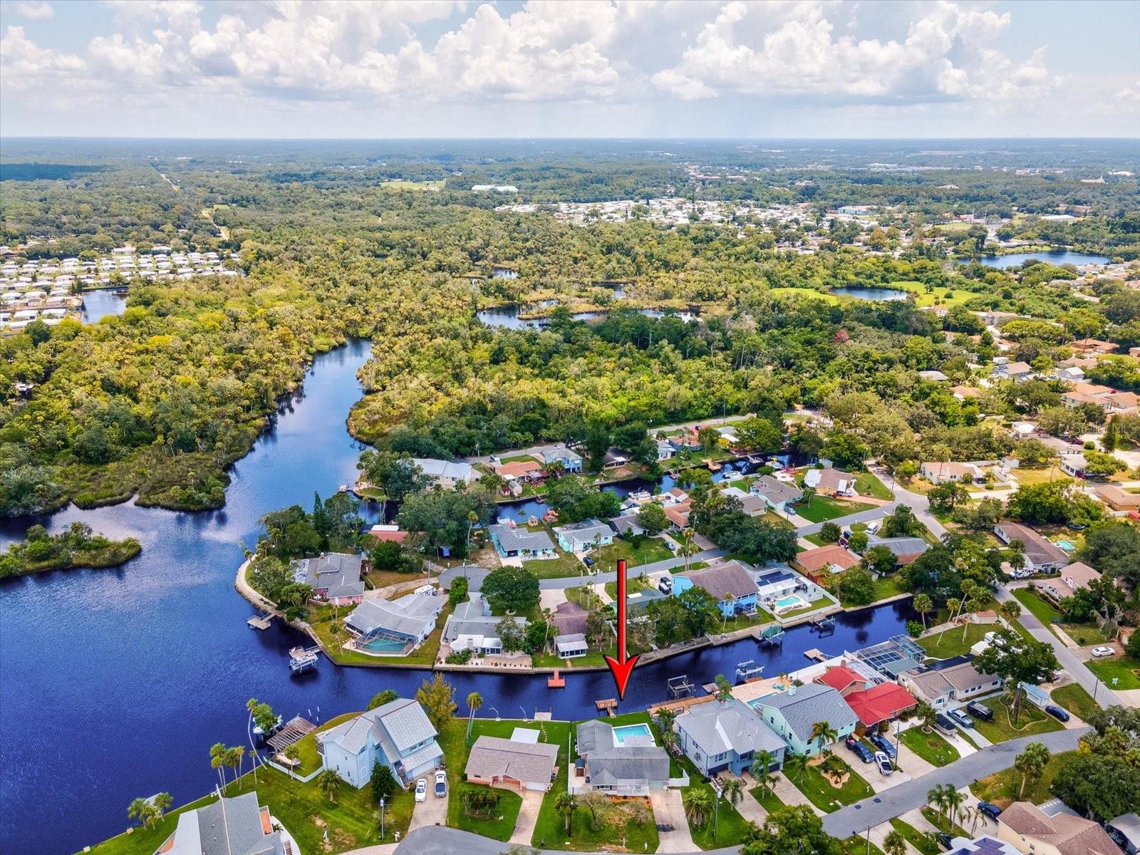 W7875388