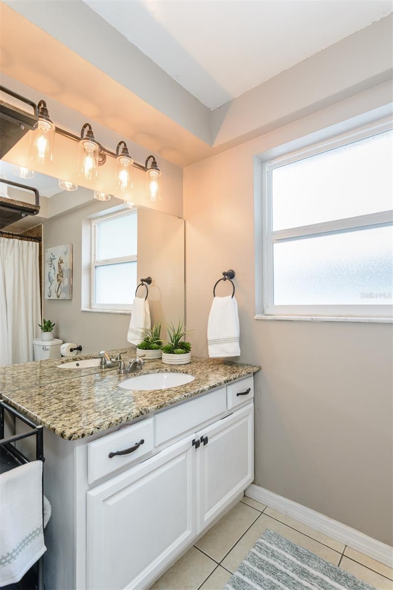 Update Vanity & Window