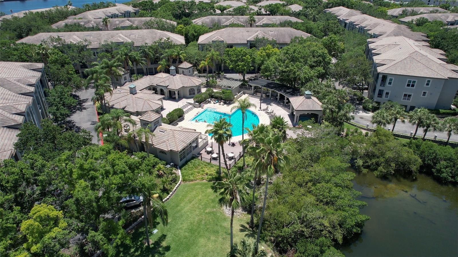 Island Walk Pool