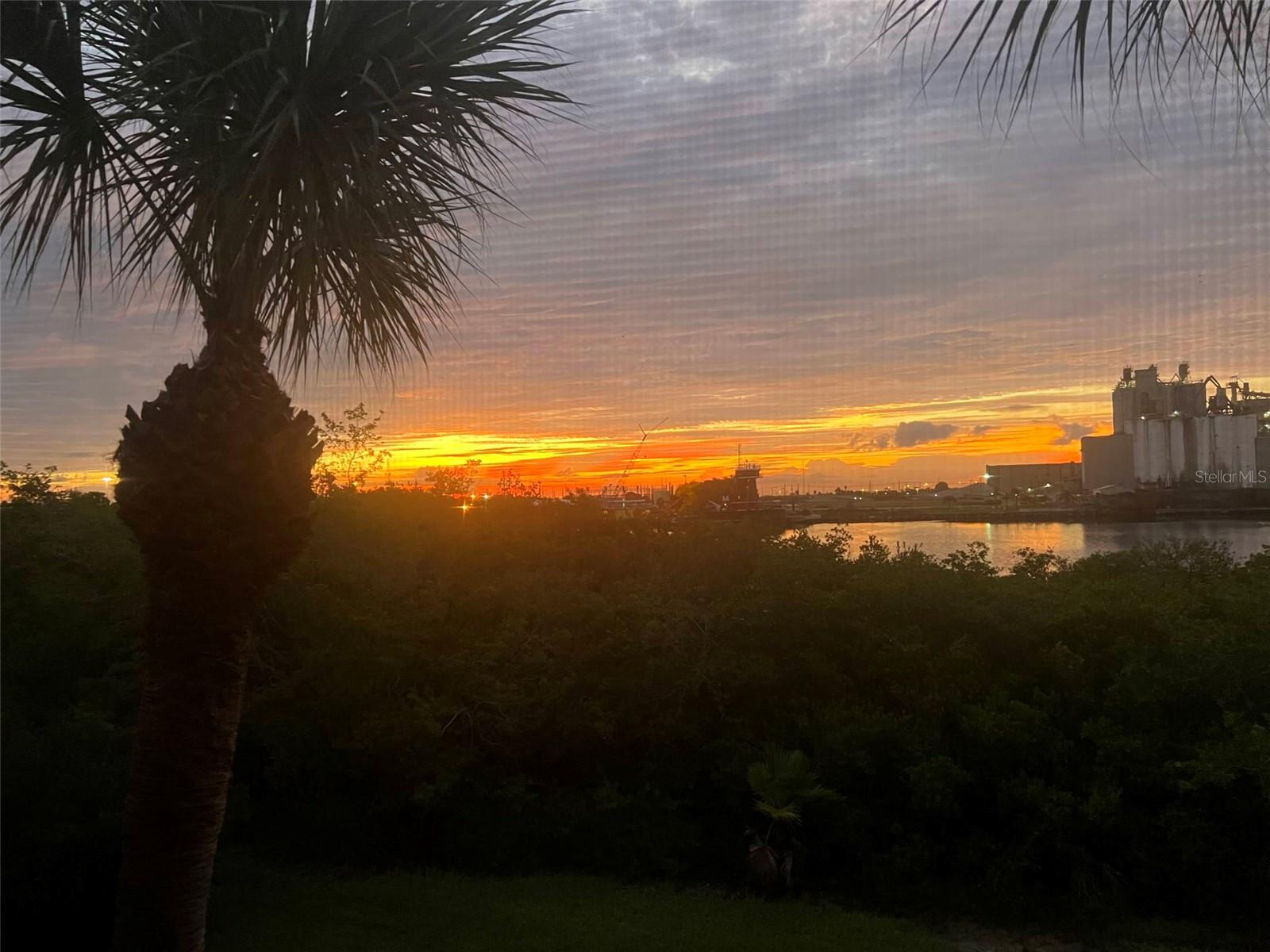 Sunrise View from Balcony