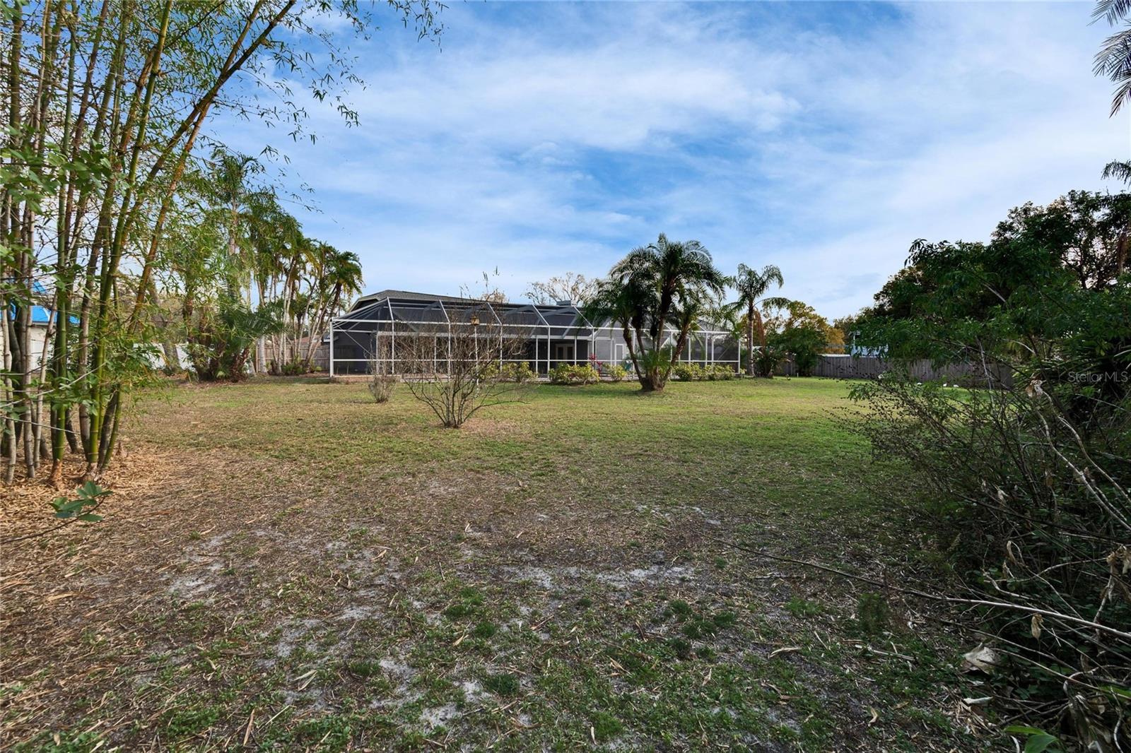 Backyard