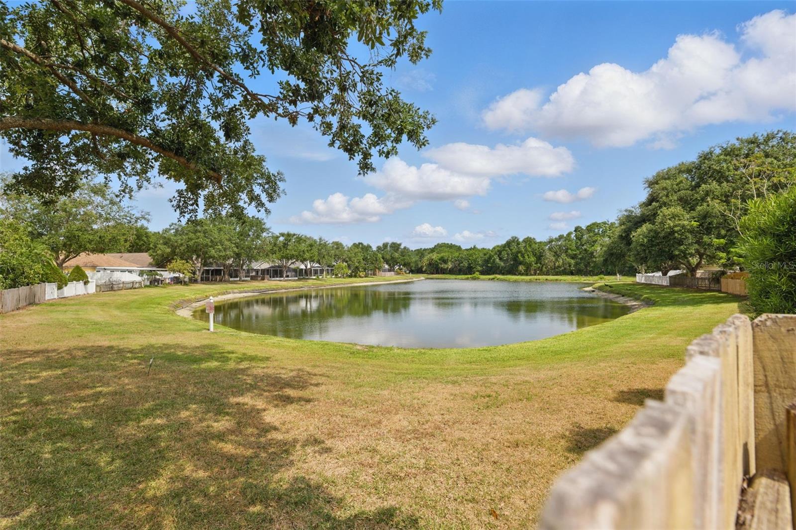 Pond View