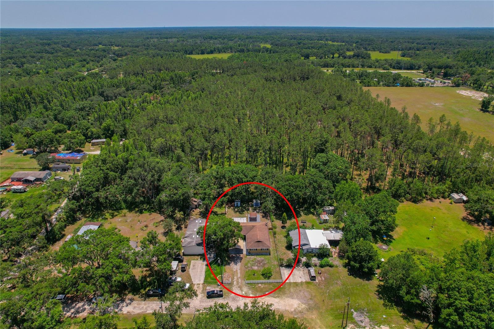 Property Backs up to a Tree Farm!