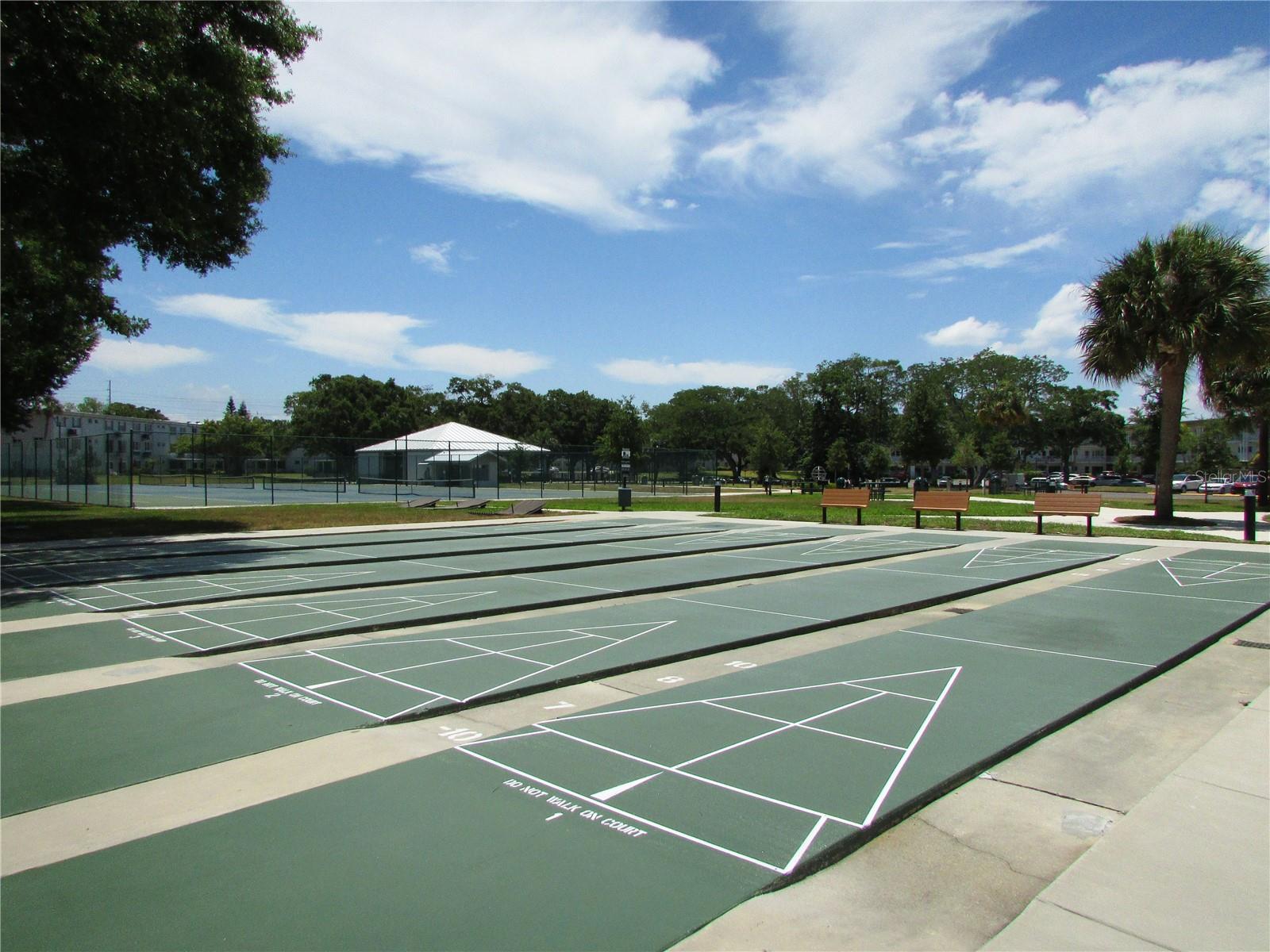 YES, Folks still play Shuffleboard!