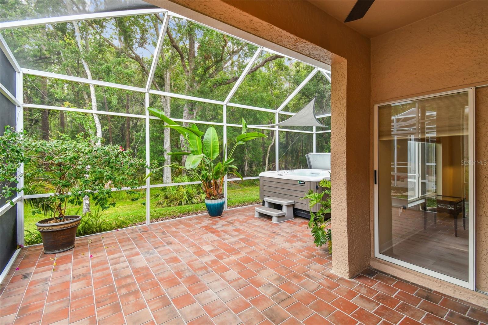 Private lanai and backyard