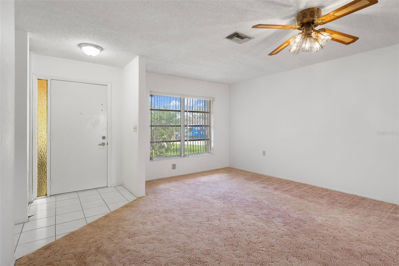 LIVING ROOM, FRONT DOOR & WINDOW2