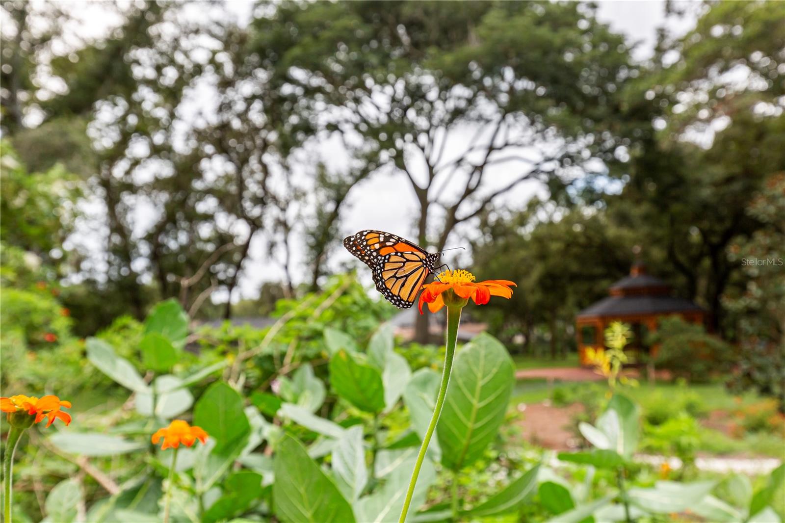 Folly Farms next door