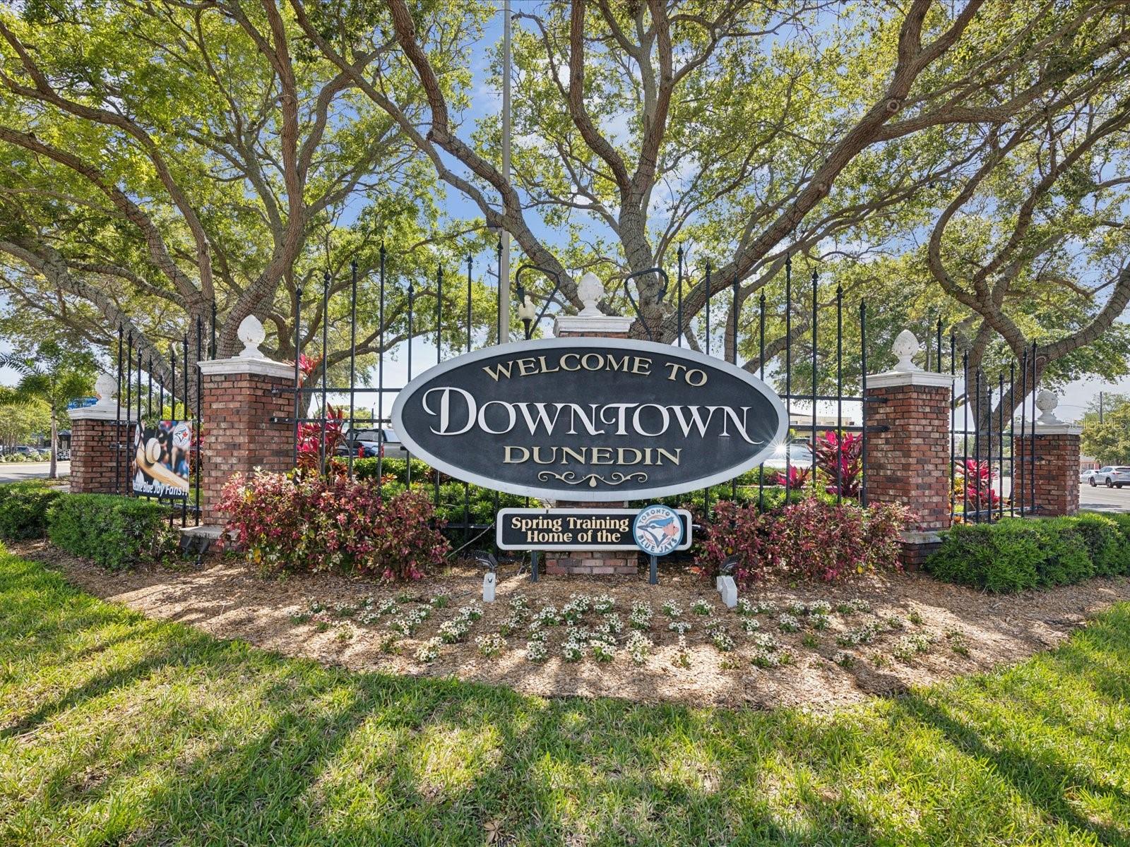 Located in the Heart of Downtown Dunedin