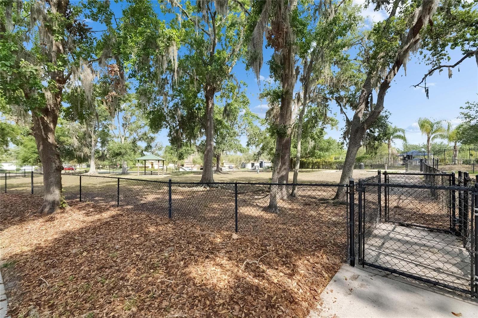 Shady dog park