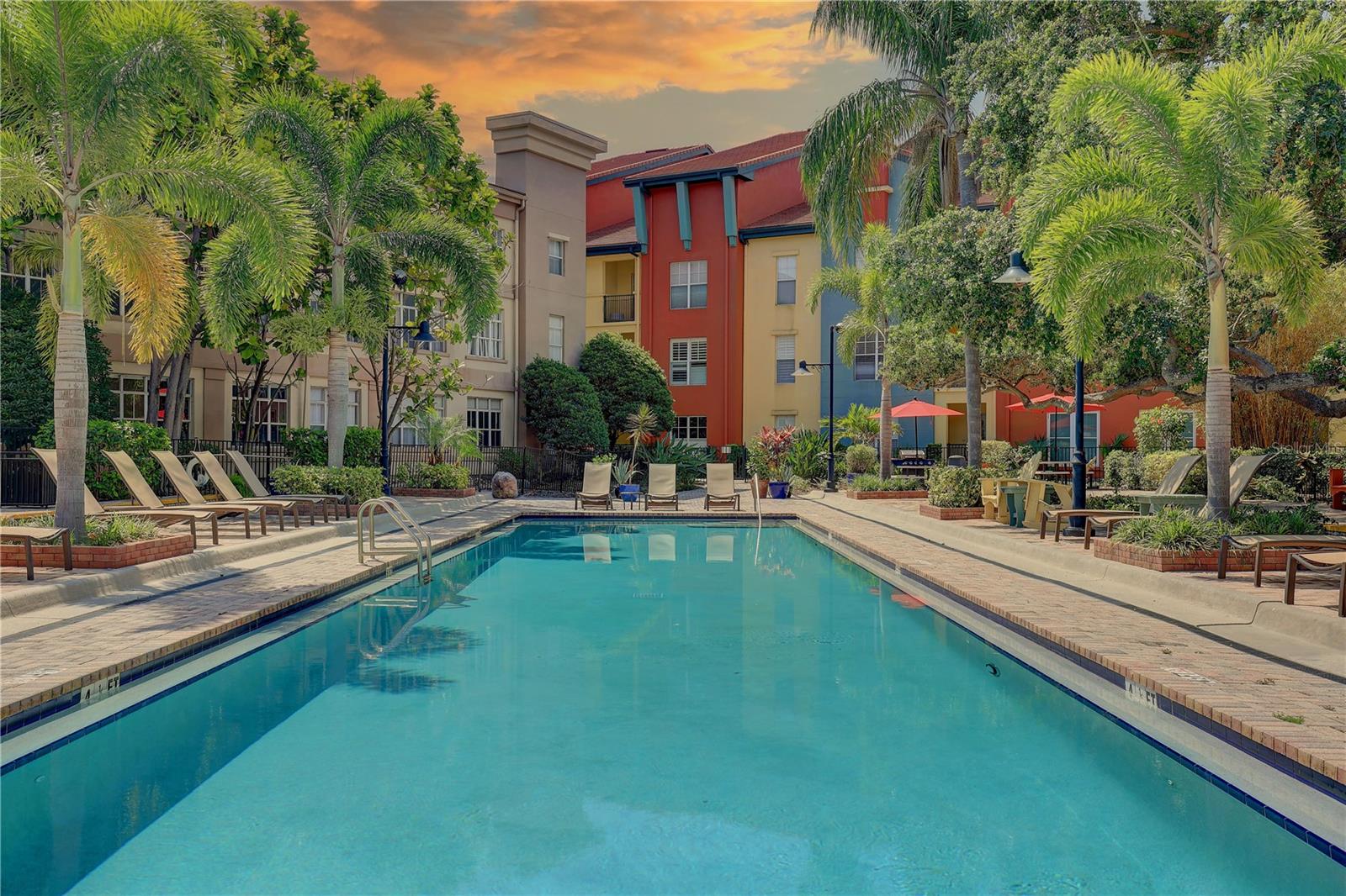 Gorgeous lap pool