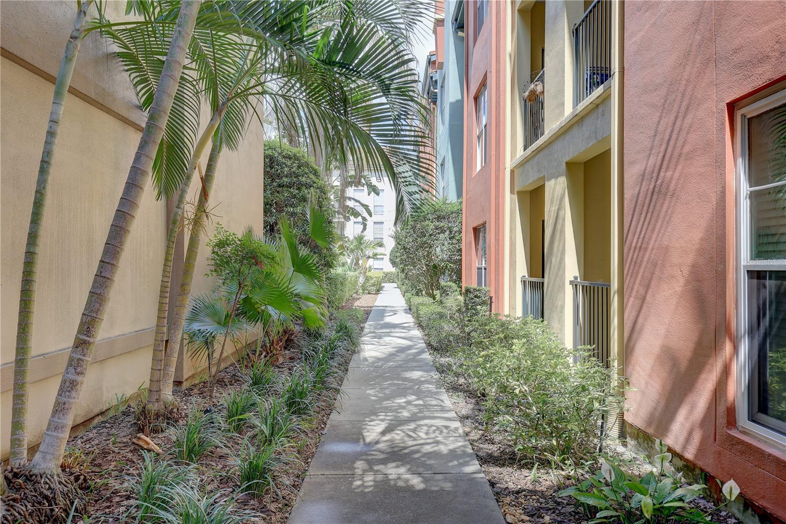 Walk way to the pool