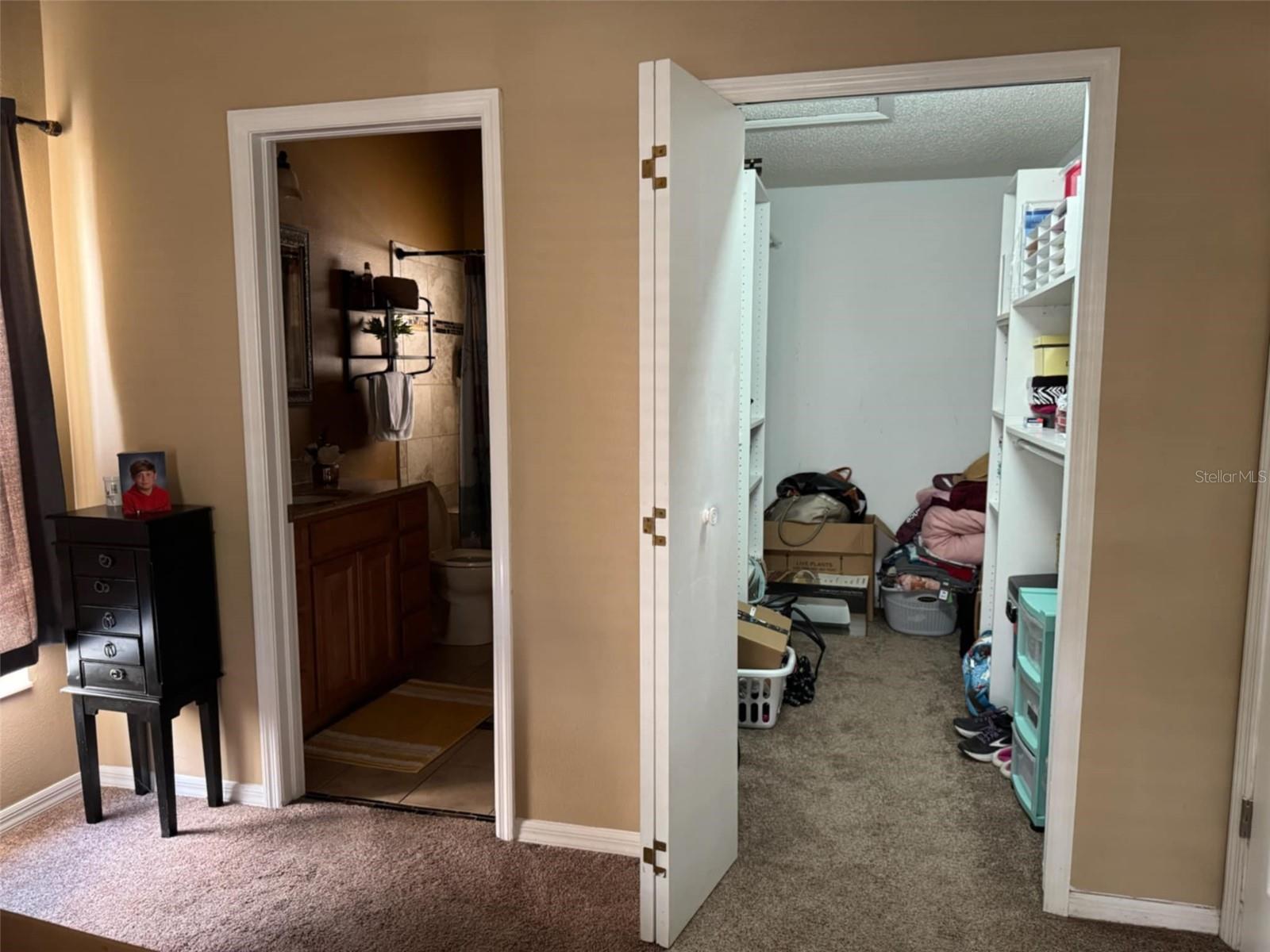Primary walk-in closet and en-suite bathroom