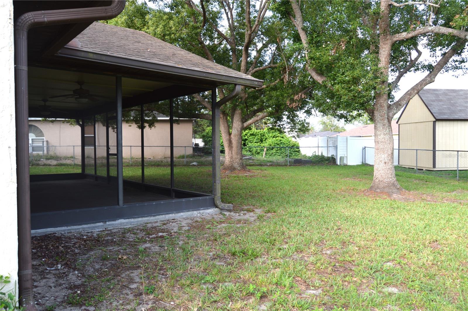 Back yard