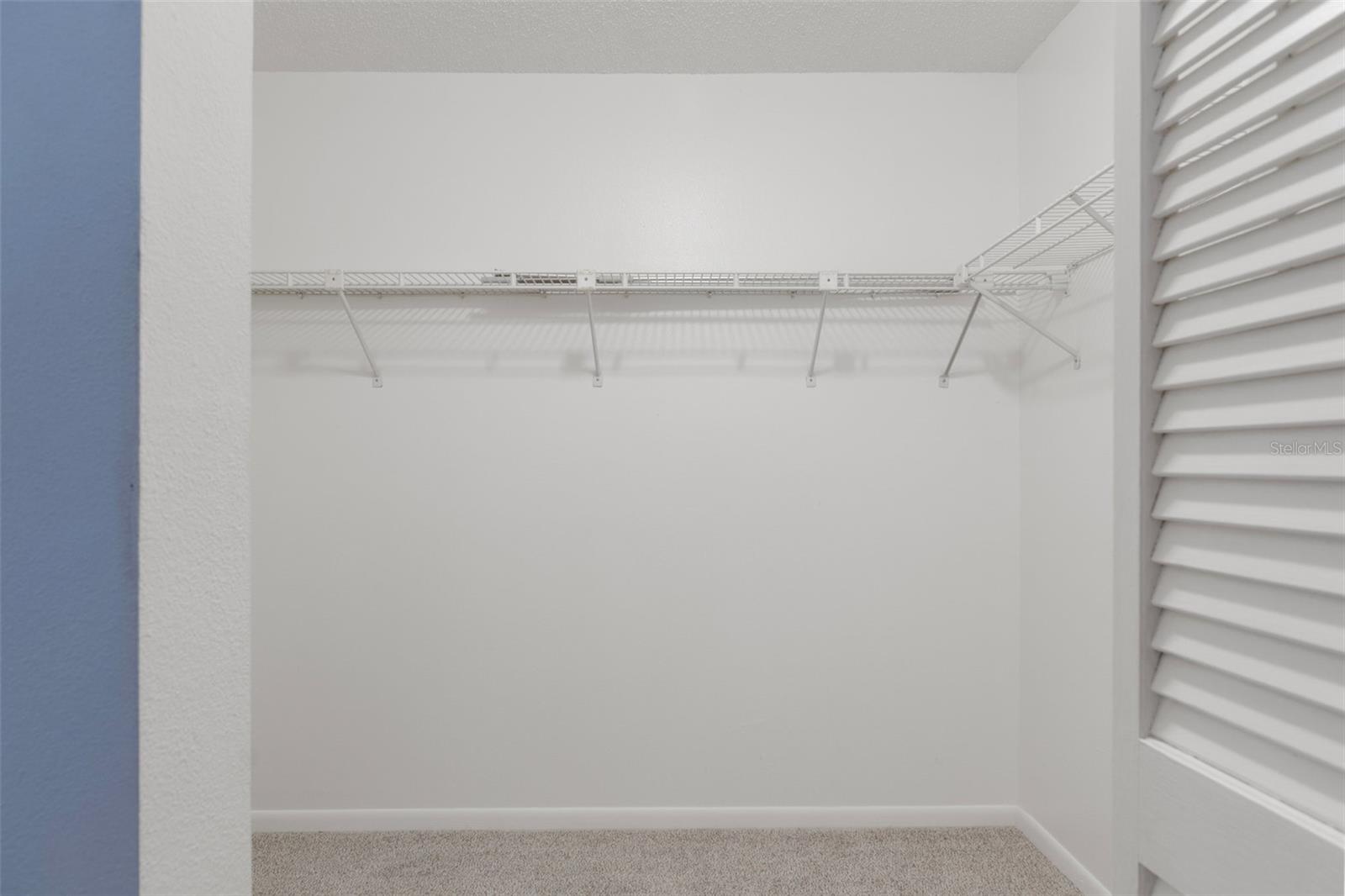 Primary Bedroom 6X8 Walk in Closet with NEW Carpet