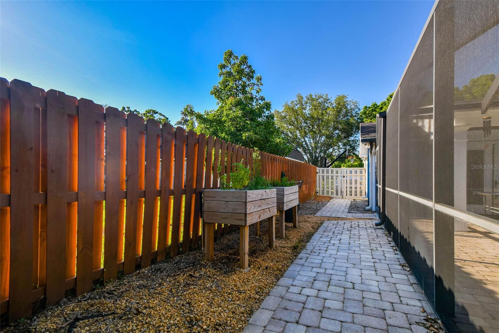 Side Yard