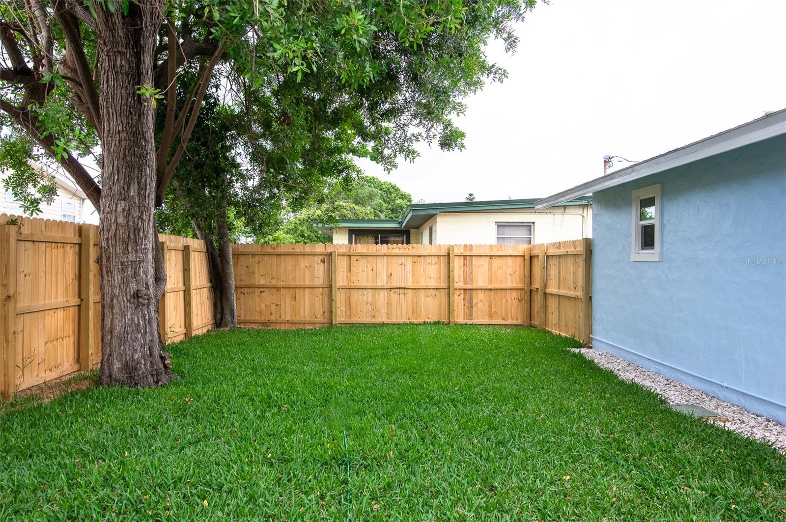 Back Yard from Patio