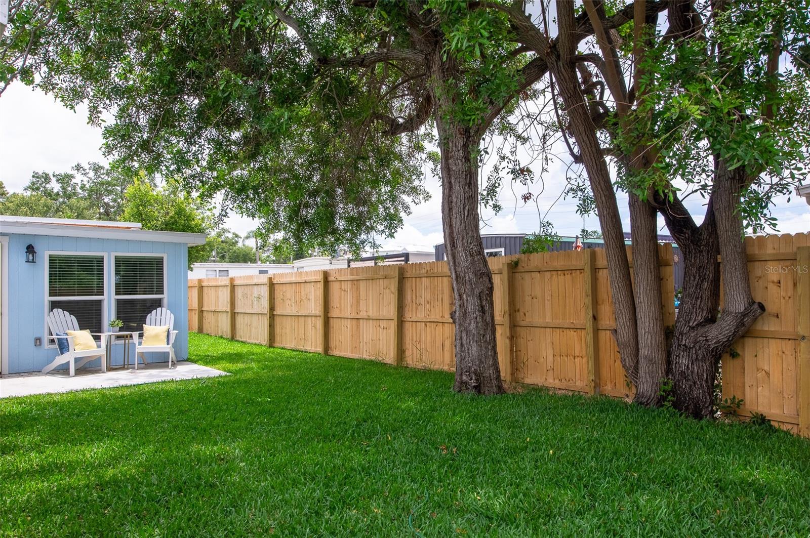 Back Yard