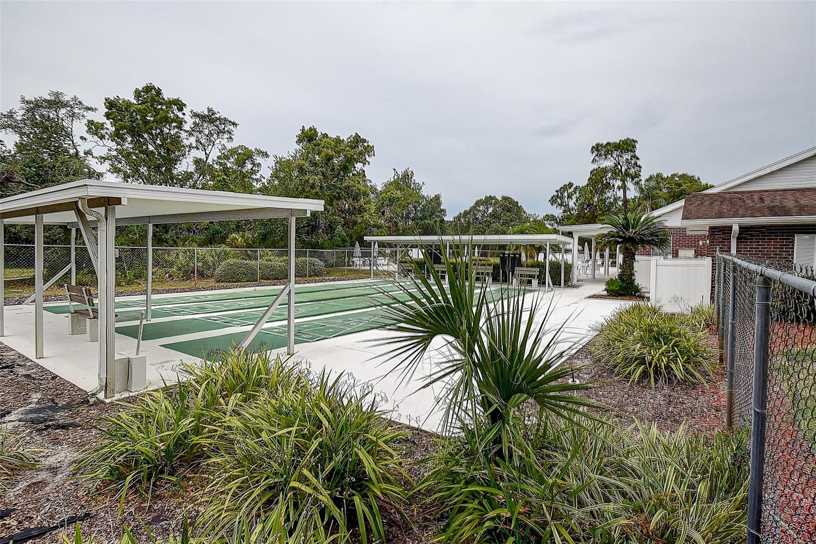 Community shuffleboard court