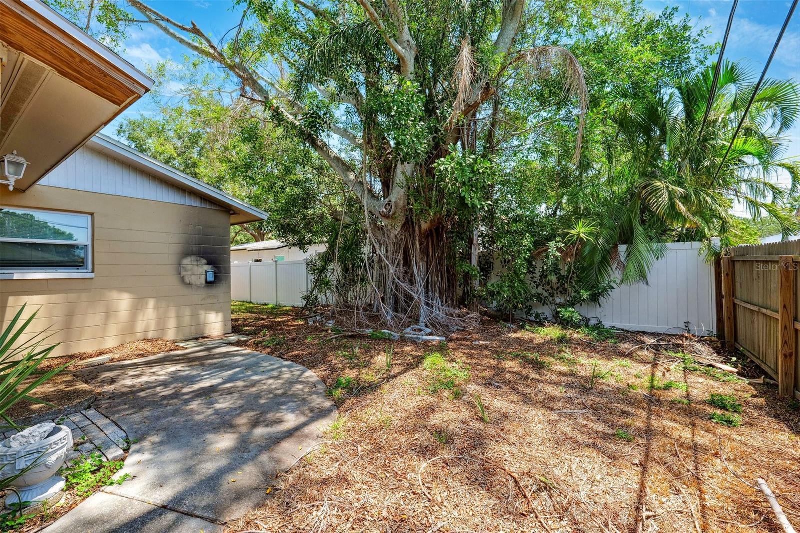 Backyard