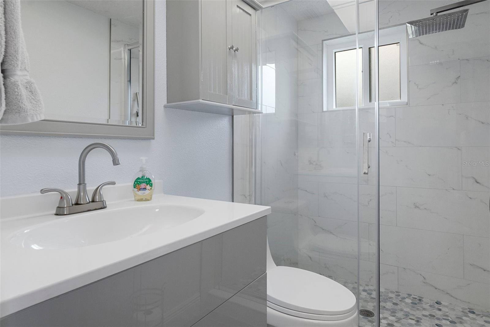 Guest Bath with NEW Vanity and NEW Walk in Tiled Shower with NEW Glass Doors