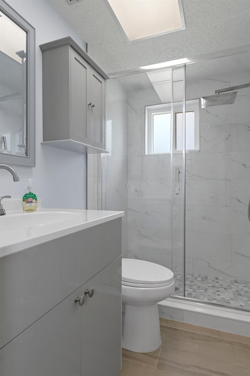 Guest Bath with NEW Wood Look Tile Plank Flooring and NEW Glass Doors