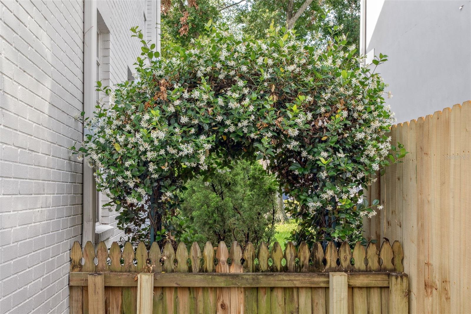 side of yard
