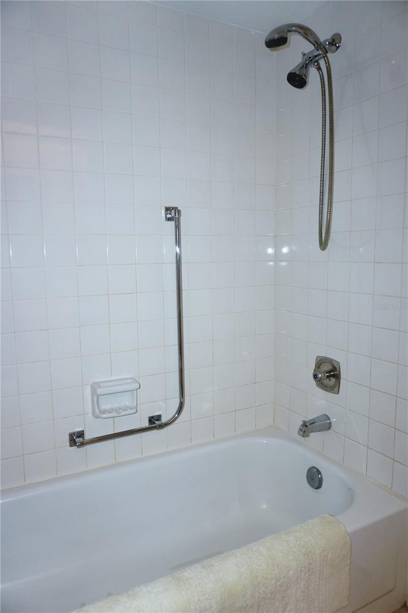 Main Bath Shower and Tub