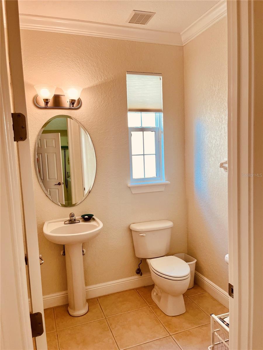 Powder room downstairs