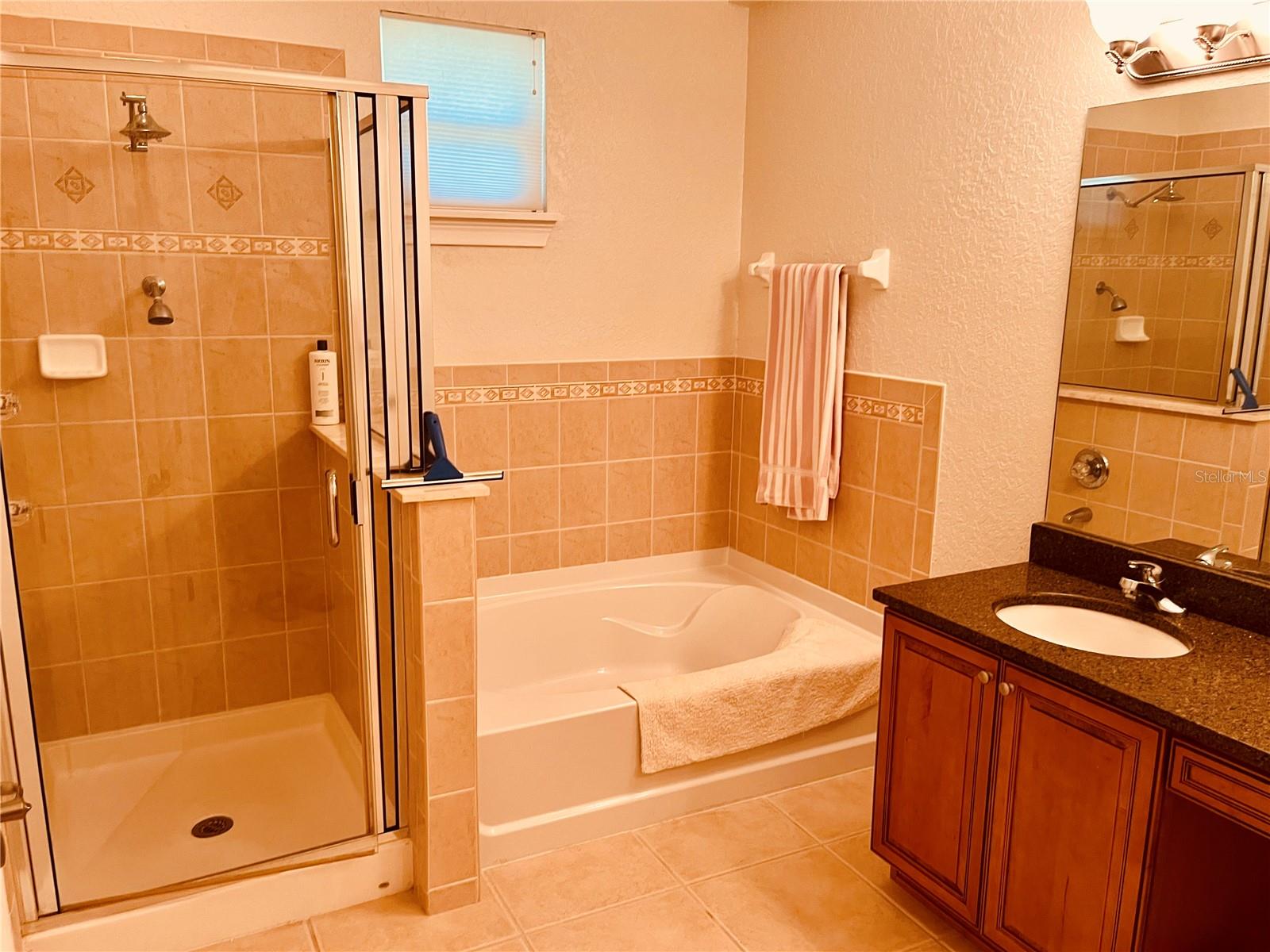 Separate shower and garden tub