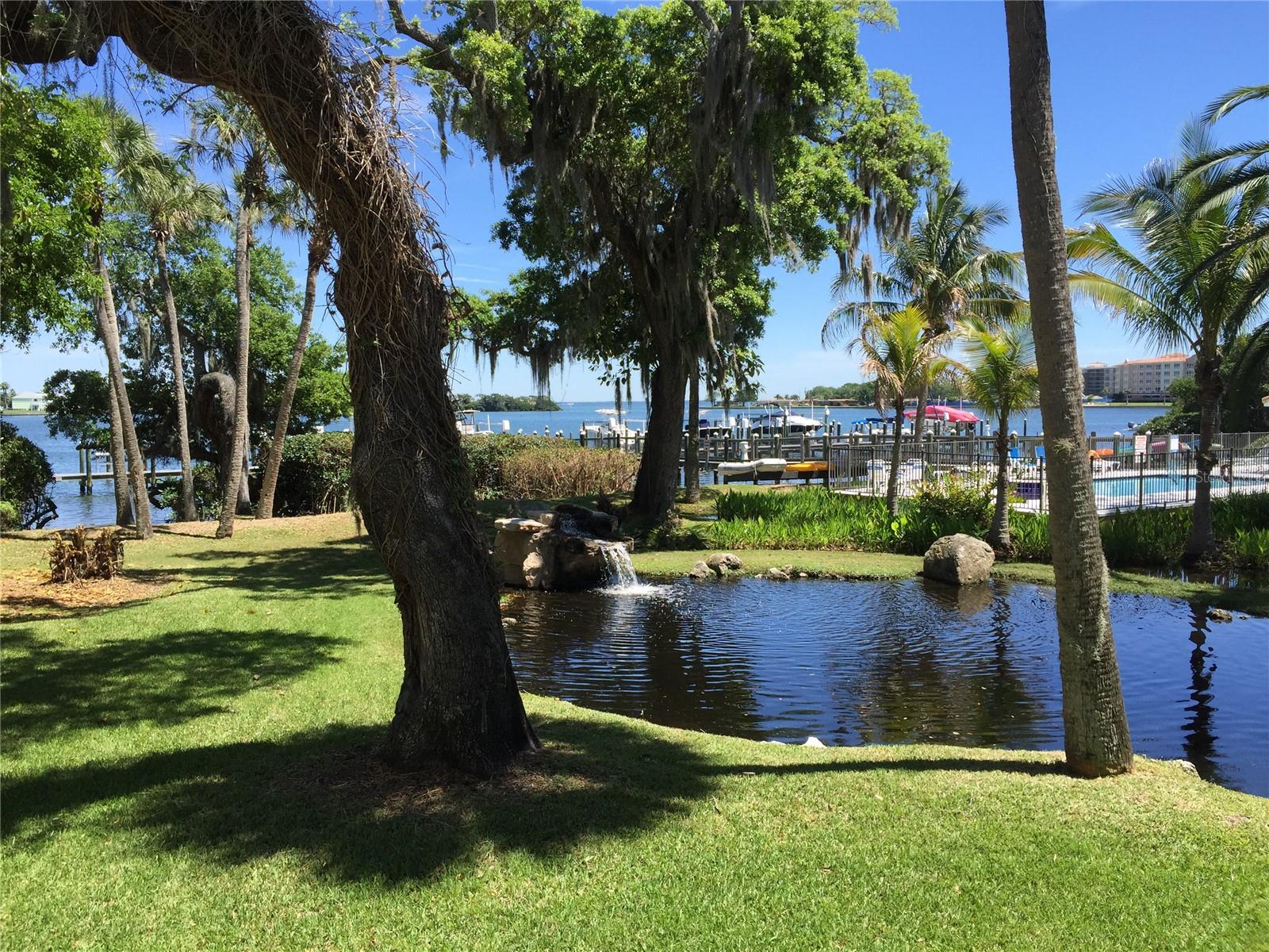 Lush landscaping