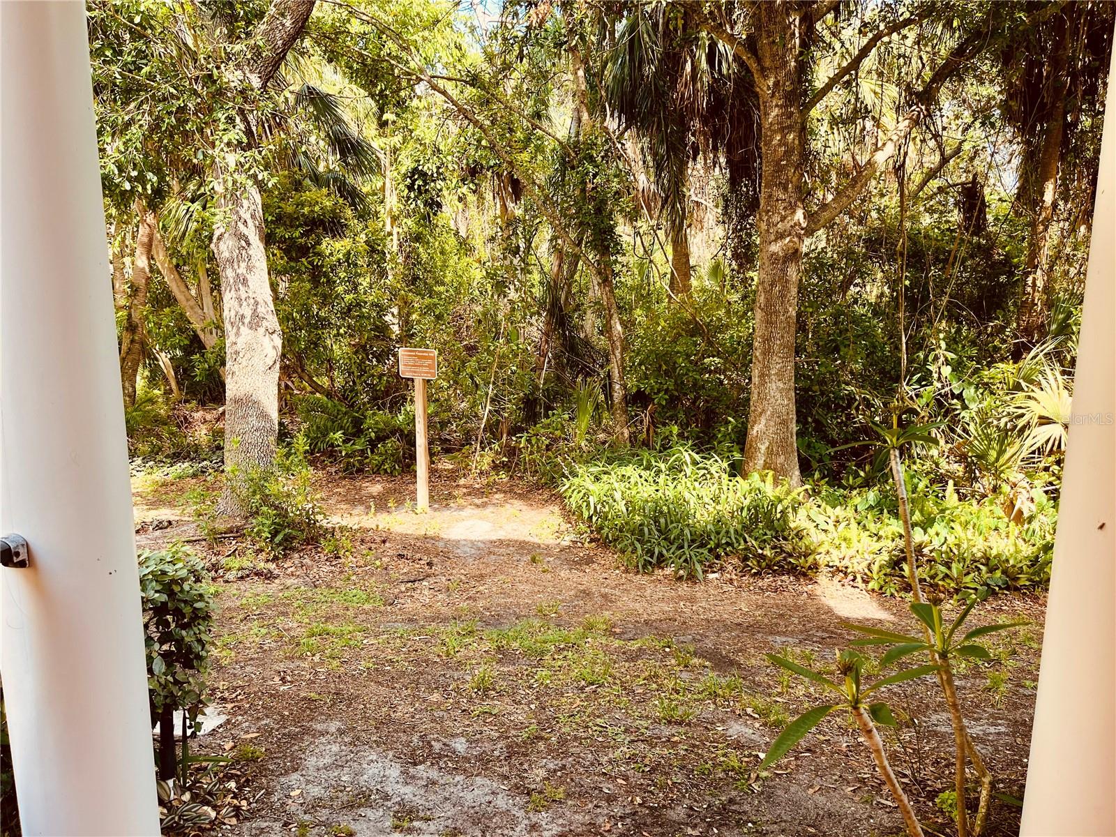 Preserve out back