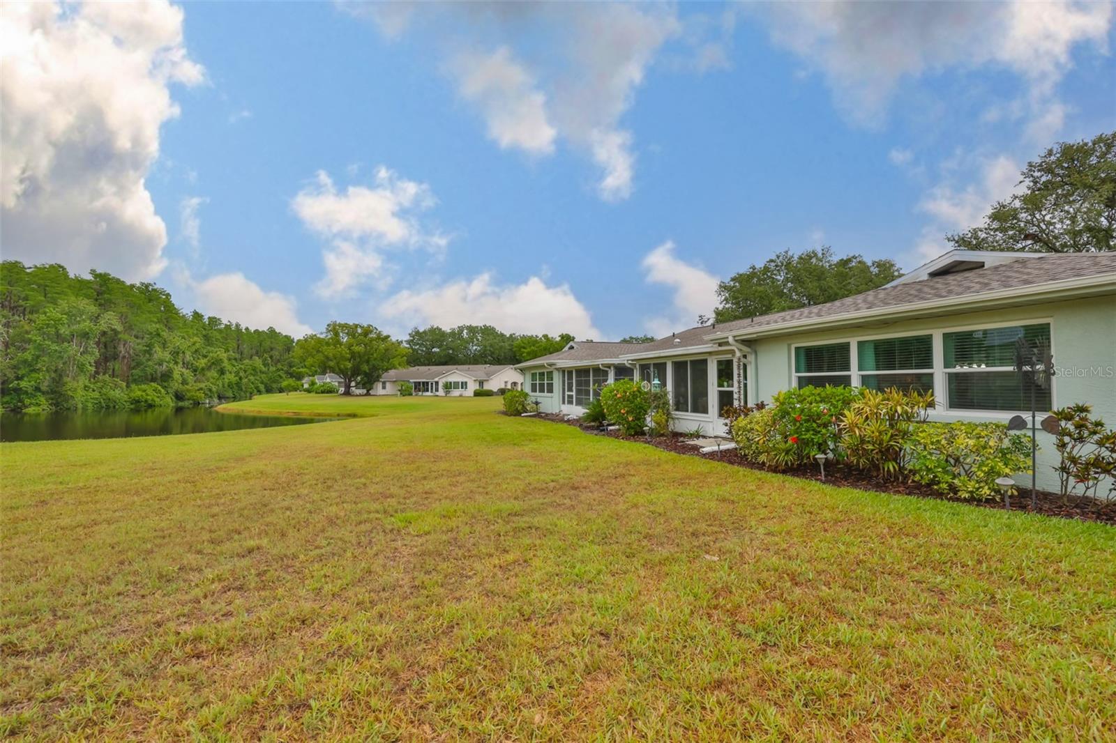 Expansive Backyard