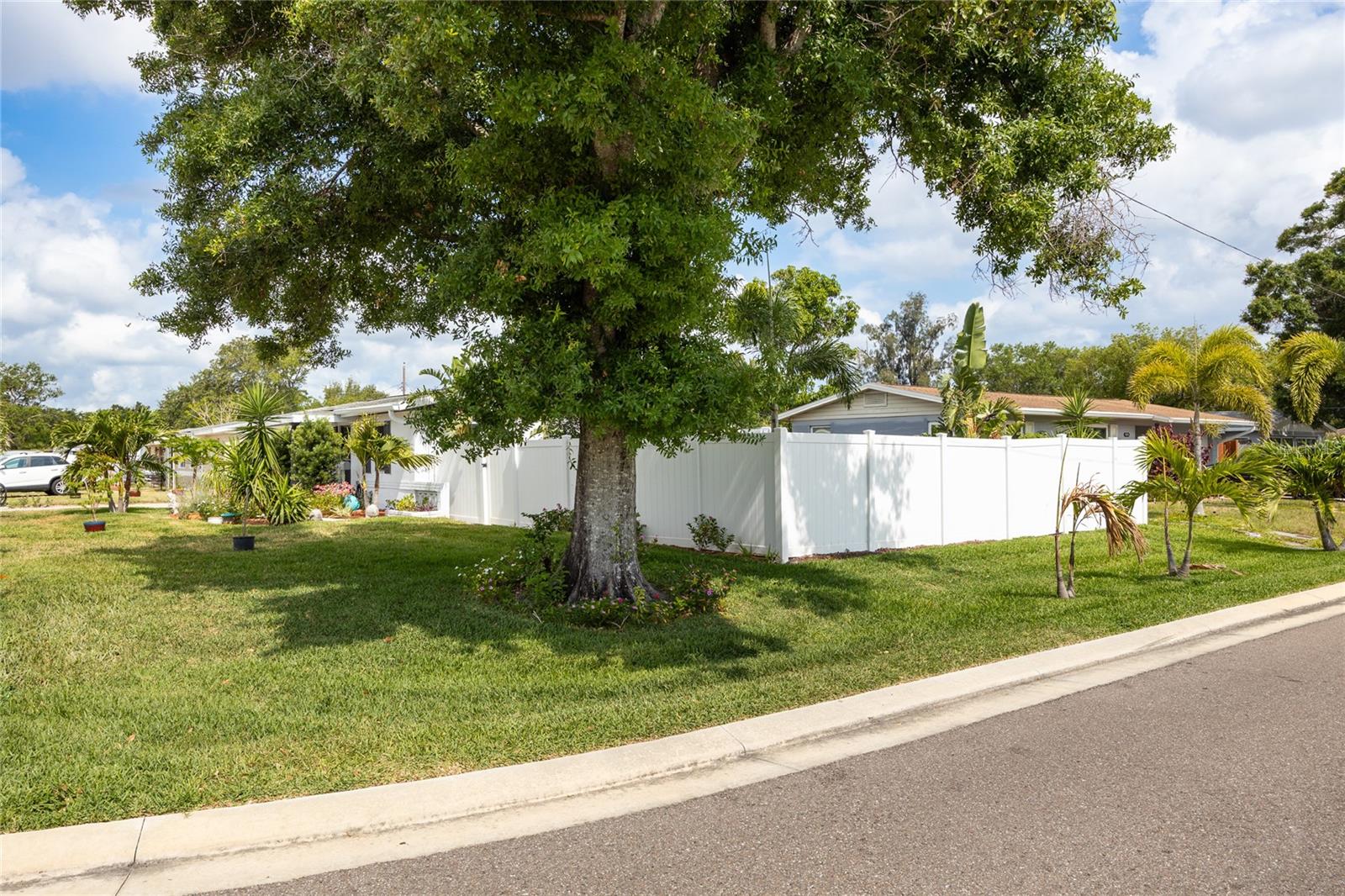 Front & Side Yard