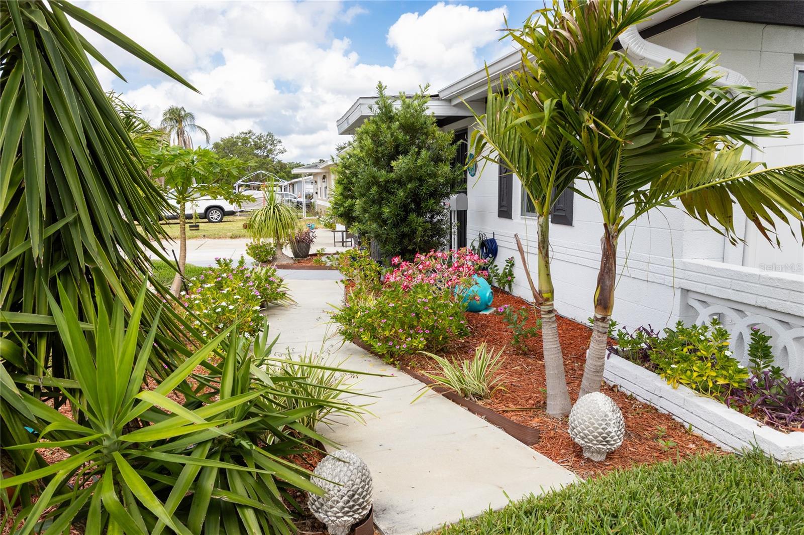 Walkway to front of house