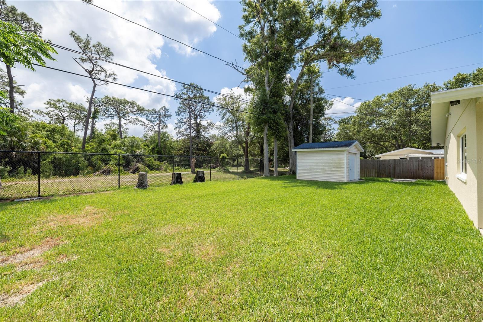 Large Back Yard