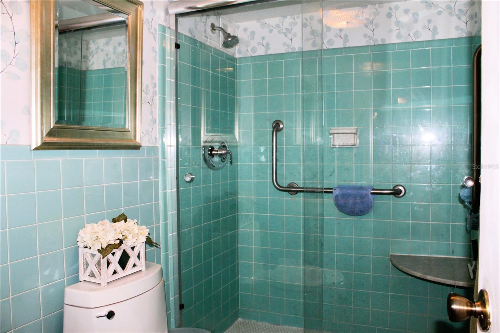 Master shower