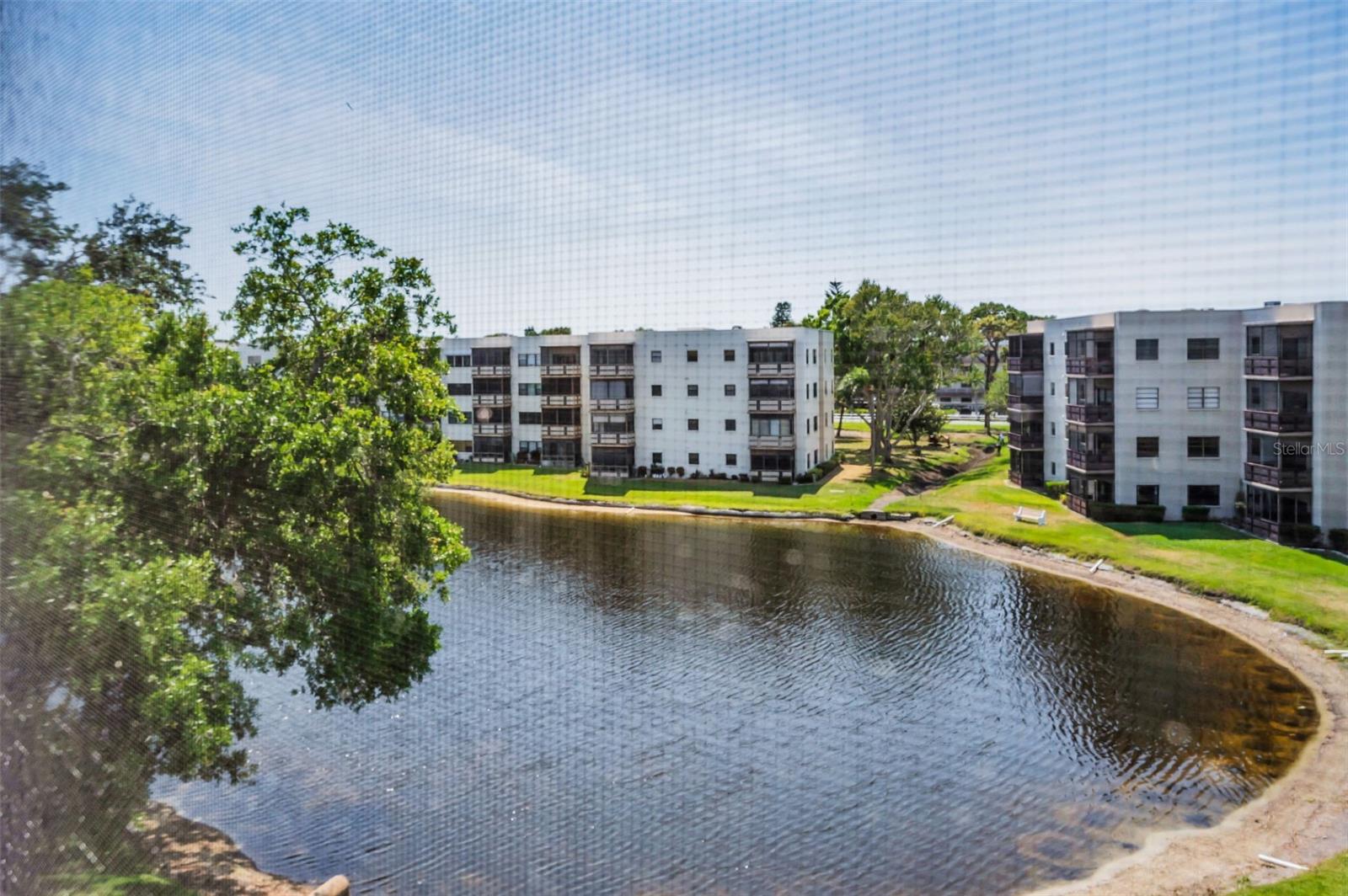 View from balcony